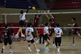 凯尔特人球星杰伦·布朗因辱骂裁判被罚35万美元